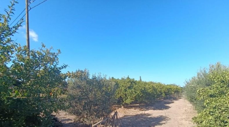 Murcia - San Javier - 2900m2