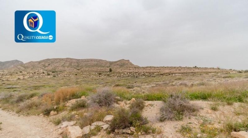 Alicante - Alicante - 38316m2
