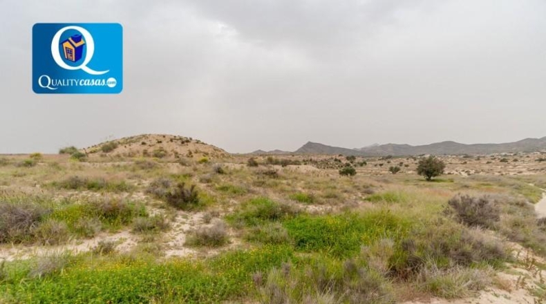 Alicante - Alicante - 38316m2
