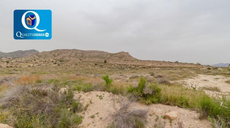 Alicante - Alicante - 38316m2