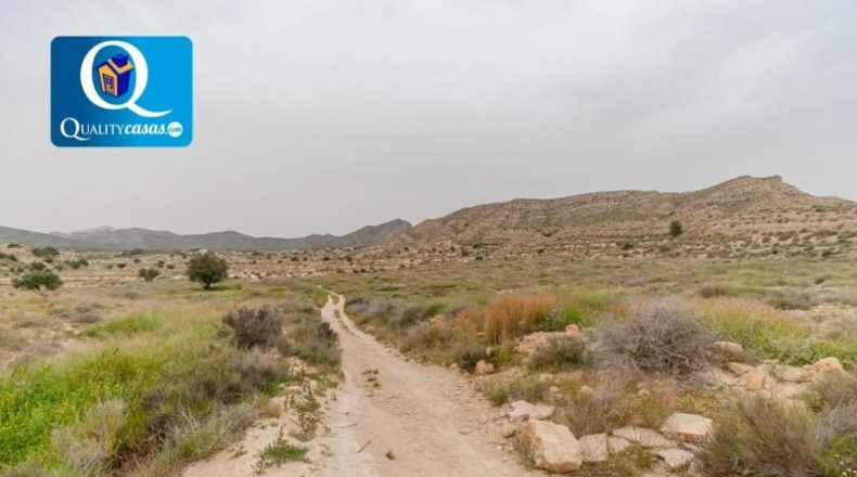 Alicante - Alicante - 38316m2