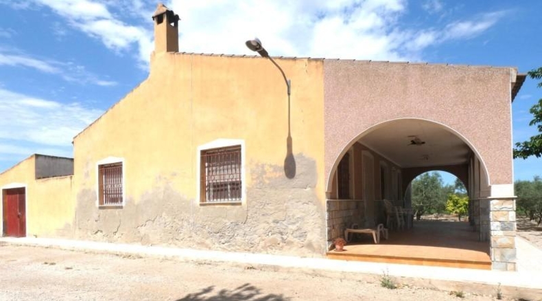 Alicante - Crevillent - 36000m2