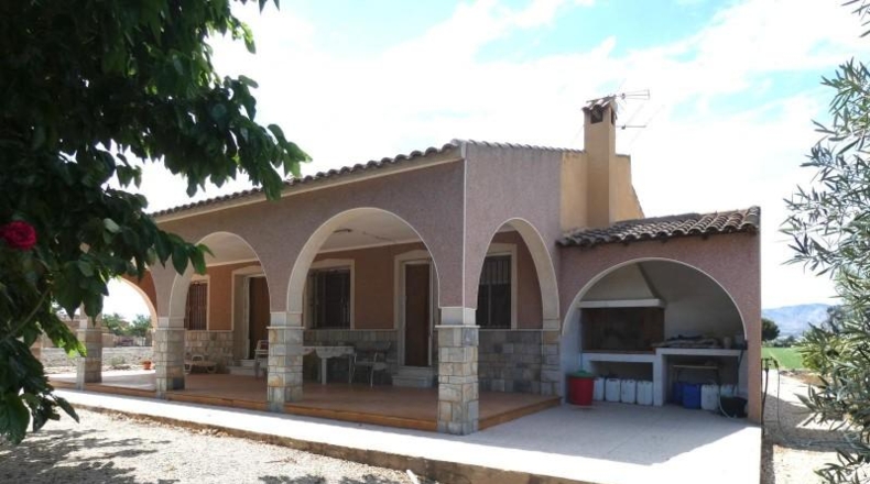 Alicante - Crevillent - 36000m2