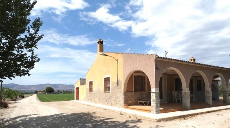Alicante - Crevillent - 36000m2