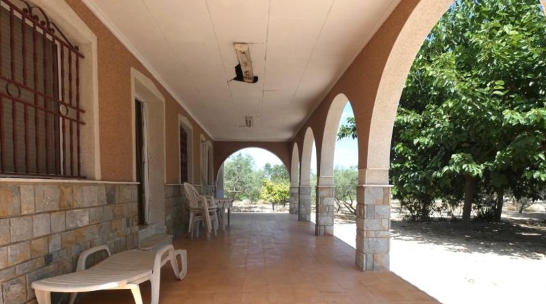Alicante - Crevillent - 36000m2