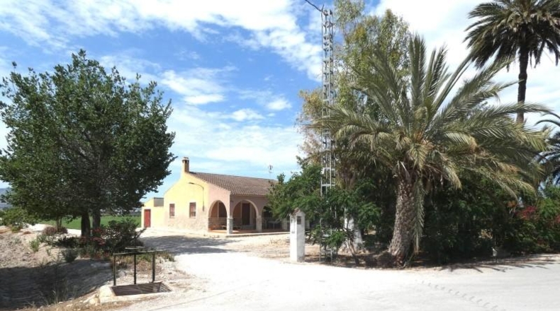 Alicante - Crevillent - 36000m2