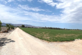 Foto 13