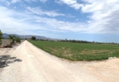 Casa de camp amb terreny en venda a la España, Crevillent, ref.: TR160324 foto