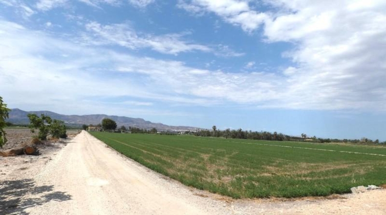Alicante - Crevillent - 36000m2