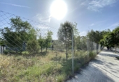 Terreny no urbanitzable en venda a la España, Sentmenat, ref.: TR128250 foto
