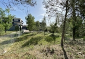 Terreny no urbanitzable en venda a la España, Sentmenat, ref.: TR128250 foto
