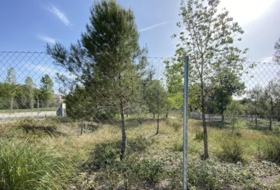 Foto 7