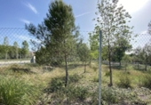 Terreny no urbanitzable en venda a la España, Sentmenat, ref.: TR128250 foto