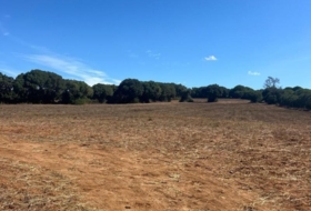 Vejer de la Frontera 23796&nbsp;m² 