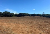 Terreny no urbanitzable en venda a la España, Vejer de la Frontera, ref.: TR172437 foto