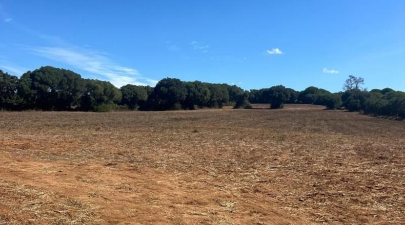 Cádiz - Vejer de la Frontera - 23796m2