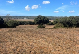 Vejer de la Frontera 23796&nbsp;m² 
