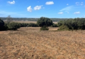 Terreny no urbanitzable en venda a la España, Vejer de la Frontera, ref.: TR172437 foto