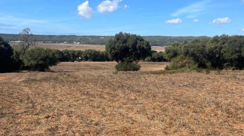Cádiz - Vejer de la Frontera - 23796m2