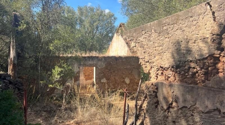 Cádiz - Vejer de la Frontera - 23796m2