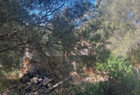 Vejer de la Frontera 23796&nbsp;m² 