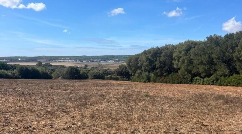 Cádiz - Vejer de la Frontera - 23796m2