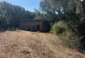 Vejer de la Frontera 23796&nbsp;m² 