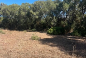 Vejer de la Frontera 23796&nbsp;m² 