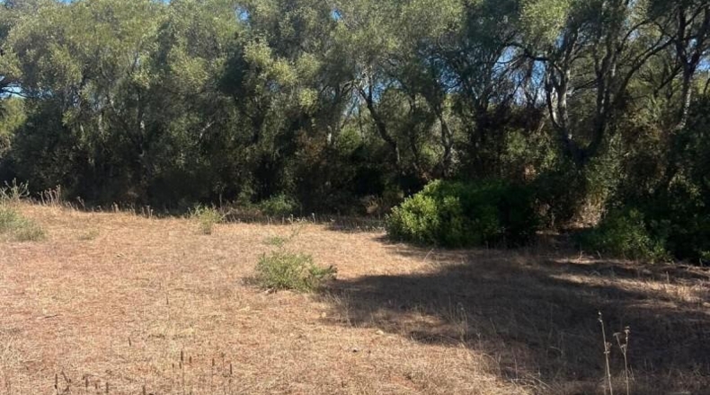 Cádiz - Vejer de la Frontera - 23796m2