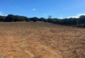 Vejer de la Frontera 23796&nbsp;m² 