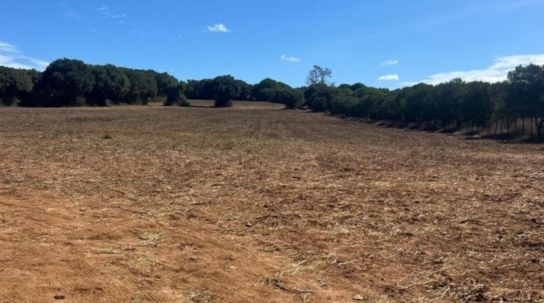 Cádiz - Vejer de la Frontera - 23796m2
