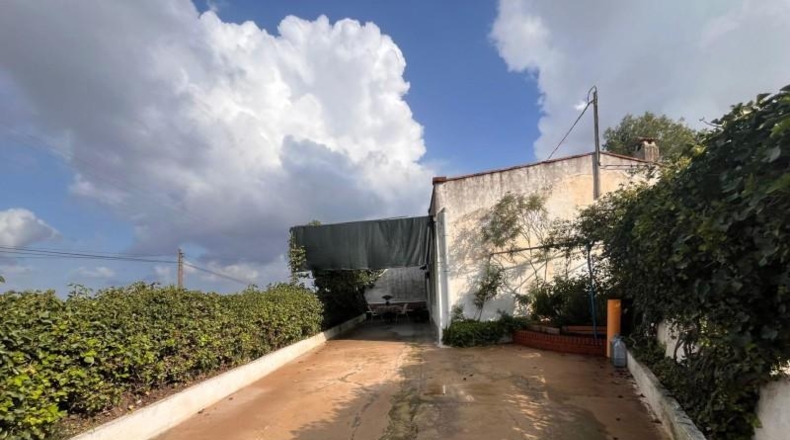 València - Alcira - 1810m2