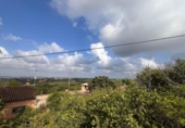 Xalet independent amb terreny en venda a la España, Alzira, ref.: TR177242 foto