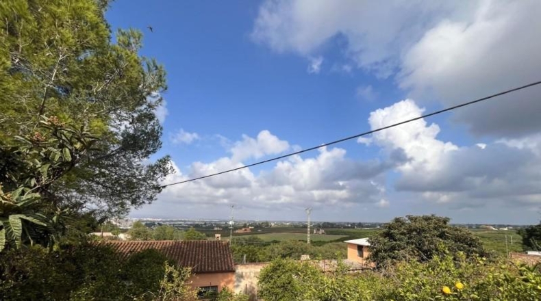 València - Alcira - 1810m2