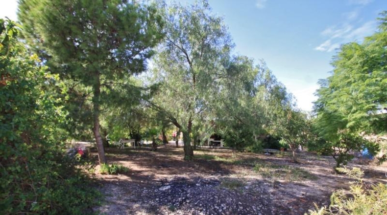 Alicante - Dolores - 190m2