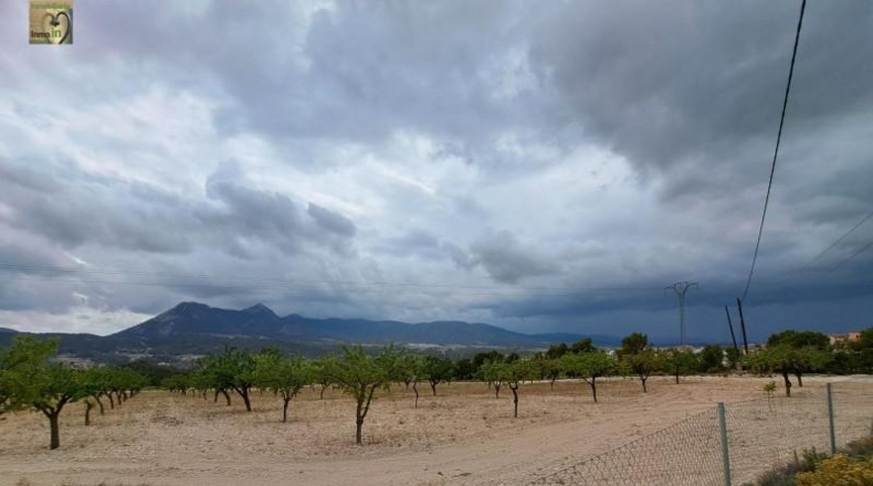 Alicante - Tibi - 106000m2