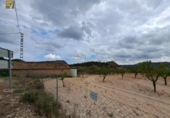 Terreny no urbanitzable en venda a la España, Tibi, ref.: TR125654 foto