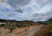 Terreny no urbanitzable en venda a la España, Tibi, ref.: TR125654 foto
