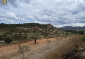 Terreny no urbanitzable en venda a la España, Tibi, ref.: TR125654 foto