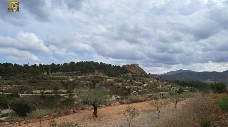 Alicante - Tibi - 106000m2