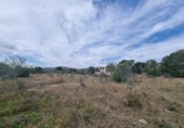 Chalet independiente con terreno en venta en la España, l'Ametlla de Mar, ref: TR153716 foto