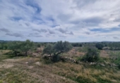 Chalet independiente con terreno en venta en la España, l'Ametlla de Mar, ref: TR153716 foto