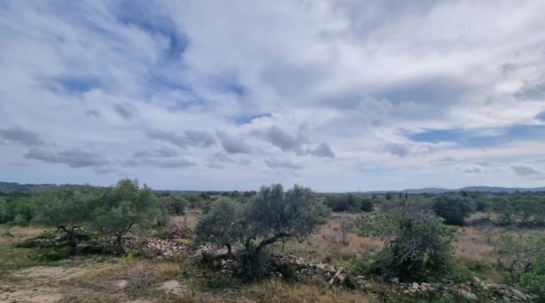 Tarragona - l'Ametlla de Mar - 48461m2
