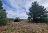 Chalet independiente con terreno en venta en la España, l'Ametlla de Mar, ref: TR153716 foto