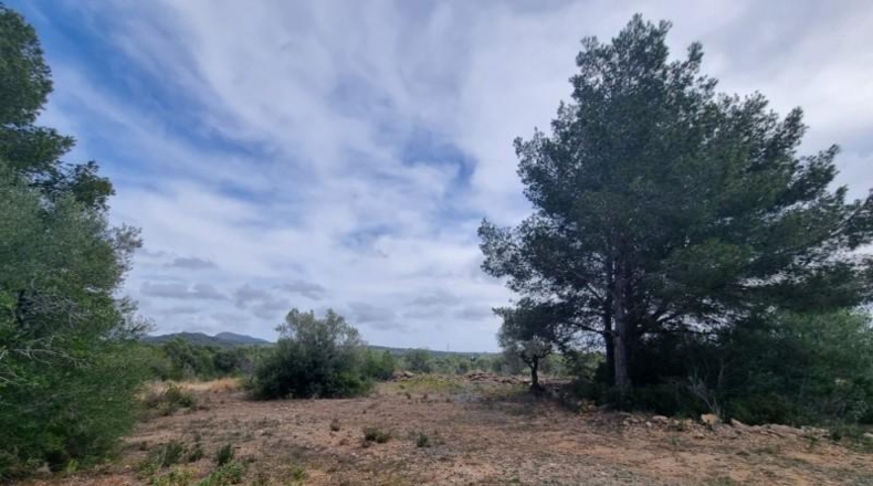 Tarragona - l'Ametlla de Mar - 48461m2