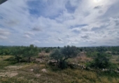 Chalet independiente con terreno en venta en la España, l'Ametlla de Mar, ref: TR153716 foto