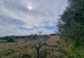 Chalet independiente con terreno en venta en la España, l'Ametlla de Mar, ref: TR153716 foto