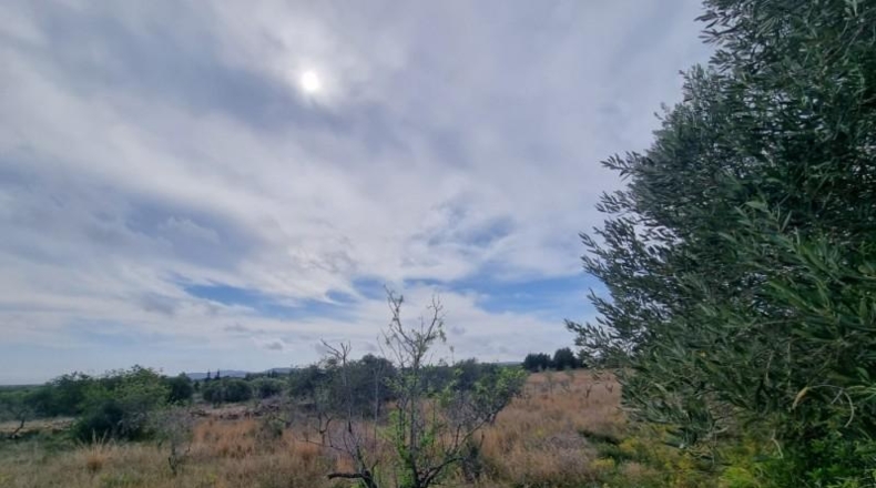 Tarragona - l'Ametlla de Mar - 48461m2