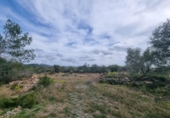 Chalet independiente con terreno en venta en la España, l'Ametlla de Mar, ref: TR153716 foto