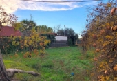 Xalet independent amb terreny en venda a la España, Lucena, ref.: TR295335 foto